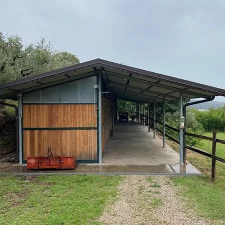 Cason Degli Ulivi Appartement